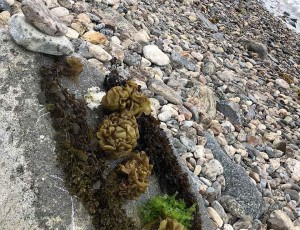 執山小隊---鶴嘴記錄